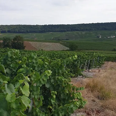La Longere De Vin'ay Vinay (Marne)