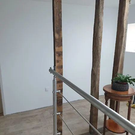 La Longère De Vin'ay Appartamento *