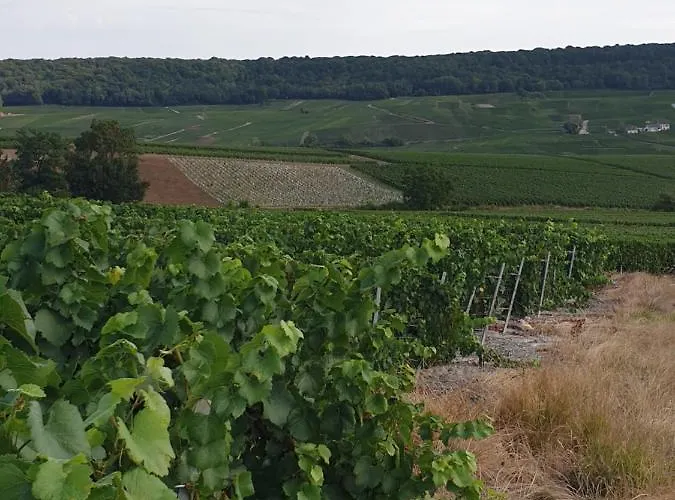 La Longere De Vin'ay Vinay (Marne)